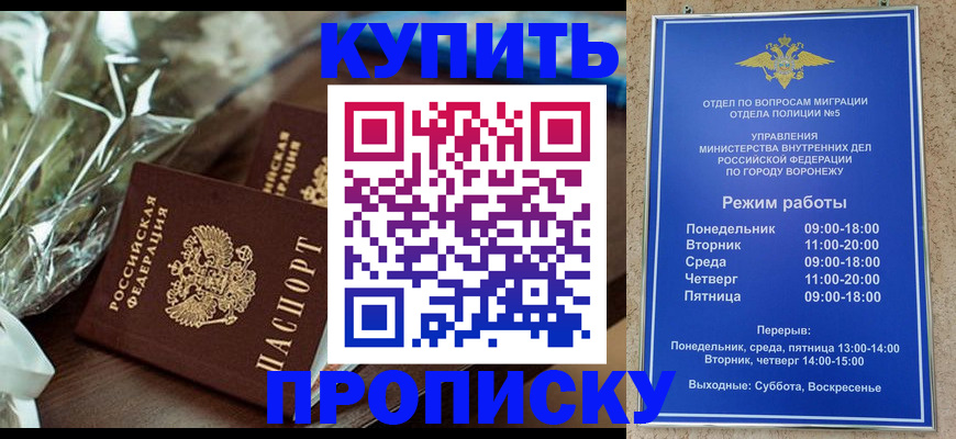 временная регистрация для школы в Жуковском